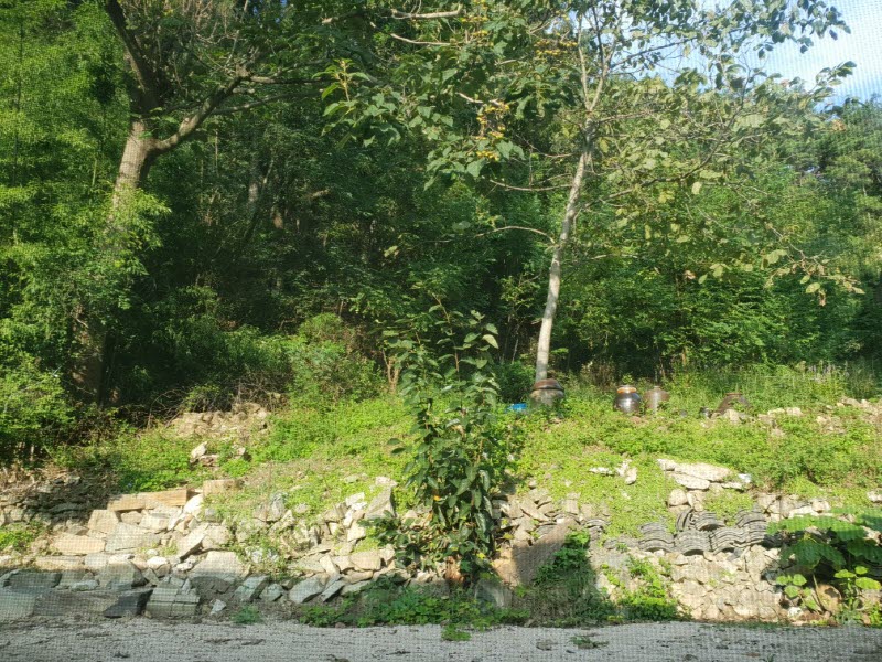 7f2532c0ae645d2525e36d2e5b9fb536_1536740365_926.jpg